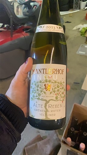 Hạ Áo Kremstal DAC Mantlerhof Alte Reben Grüner & Roter Veltliner 2023