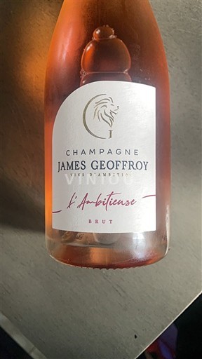 Šampanja Šampanjec James Geoffroy L'Ambitieuse Neleten.