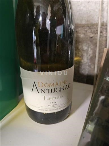 Linguadoca e Rossiglione Paese d'Oc Domaine Antugnac Turitelles 2016