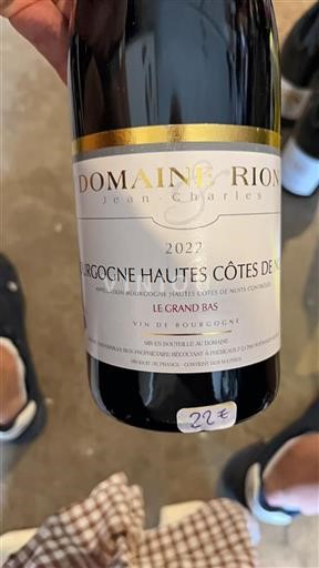 Borgoña No especificado Domaine Rion Le Grand Bas 2022