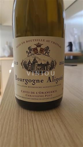 Burgundi Bourgogne Aligoté Caves de l'Orangerie 2023