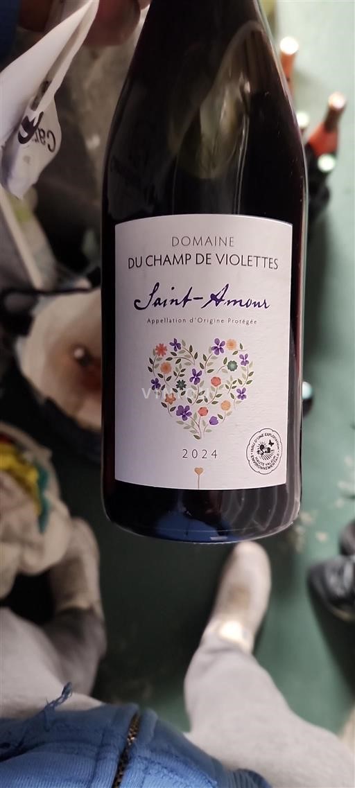 Beaujolais Saint-Amour Domaine Champ de Violettes 2024