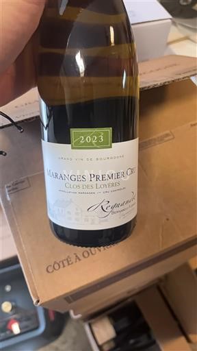 Bourgogne Maranges Premier Cru Regnaudot Bernard et Florian Clos des Loyères 2023
