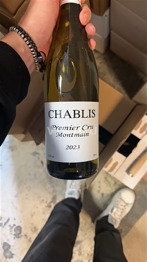 Bourgogne Chablis Premier Cru Domaine Montmain 2023