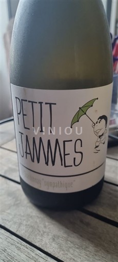 Sudoeste Côtes del Lot Petit Jammes 2023