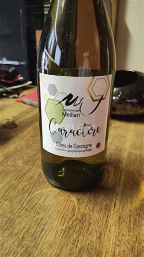 Tây Nam Côtes de Gascogne Domaine Meillan Caractère 2023