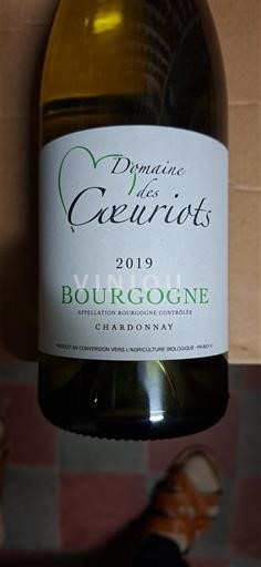 Bourgogne Domaine Des Coeuriots 2019
