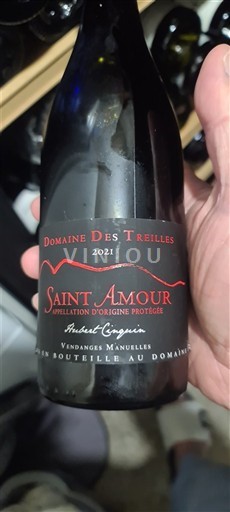 Beaujolais Saint-Amour Domaine Des Treilles 2021