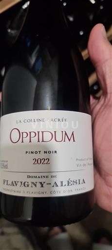 Bourgogne Flavigny Alésia Oppidum 2022