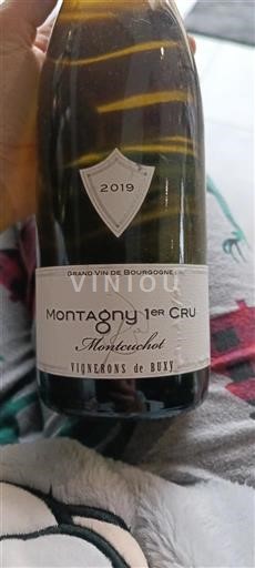 Bourgogne Ikke specificeret Premier Cru Vignerons de Buxy Montcuchot 2019