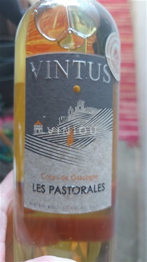 Jihozápad Côtes de Gascogne Vintus Les Pastorales 2017