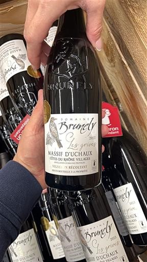 Vale do Ródano Não especificado Domaine Brunely Les Grives 2023