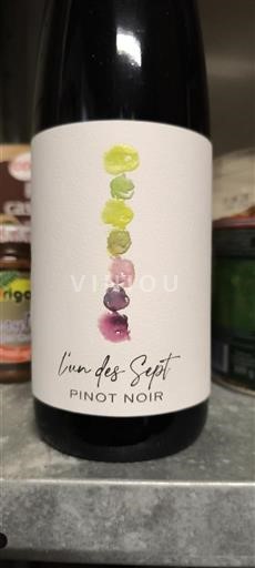 Alsace Pinot noir L'un des Sept Pinot Noir 2023