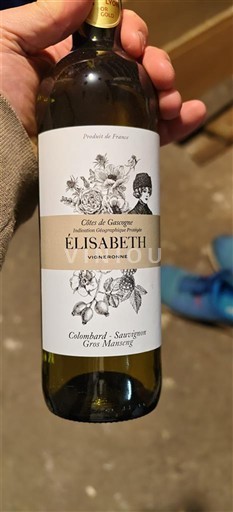 South West Côtes de Gascogne Vigneronne Élisabeth Non-Vintage