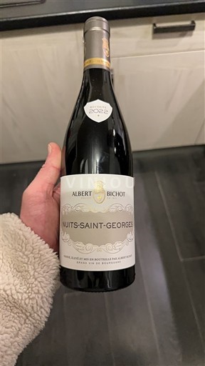 Burgundy Nuits-Saint-Georges Premier Cru Albert Bichot 2022