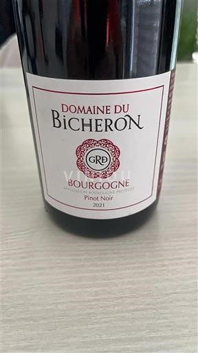 Burgundi Bourgogne Domaine Bicheron 2021