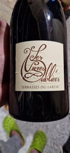 Langvedok Terrasses-du-Larzac Les Vignes Oubliées 2022