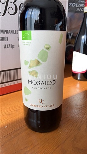 Emilia-Romagna Rubicone Umberto Cesari Mosaico 2023