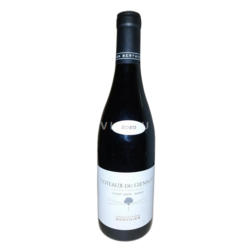 Loire-dalen Coteaux-du-Giennois Clément & Florian Berthier 2020