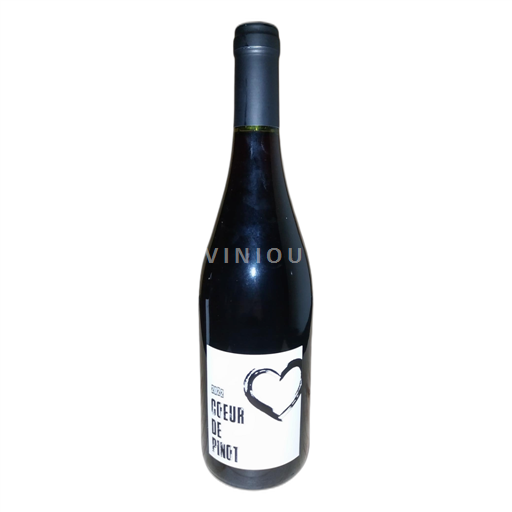 Burgundi Bourgogne Domaine Sylvain Rozier Cœur de Pinot 2022