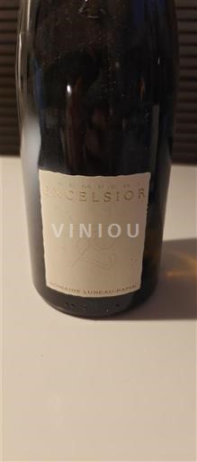 Valle della Loira Muscadet Sèvre et Maine Luneau - Papin Excelsior 2020