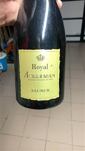 Thung lũng sông Loire Saumur Ackerman Royal Không niên vụ