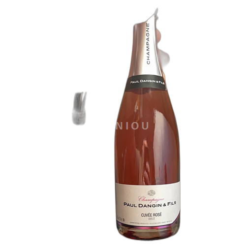 Šampanja Ni doloceno Paul Dangin & Fils Rosé Neleten.