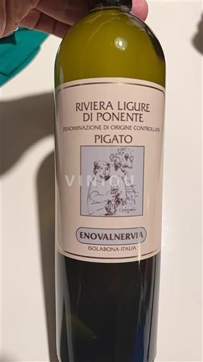 Ligurian maakunta Ponente Ligurian Riviera Enovalnervia Pigato 2023