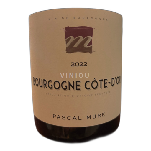 Burgundy Burgundy Côte d'Or PASCAL MURE 2022