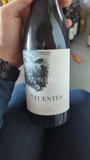 Kanarieöarna Valle de la Orotava Suertes del Marques 7 Fuentes 2019