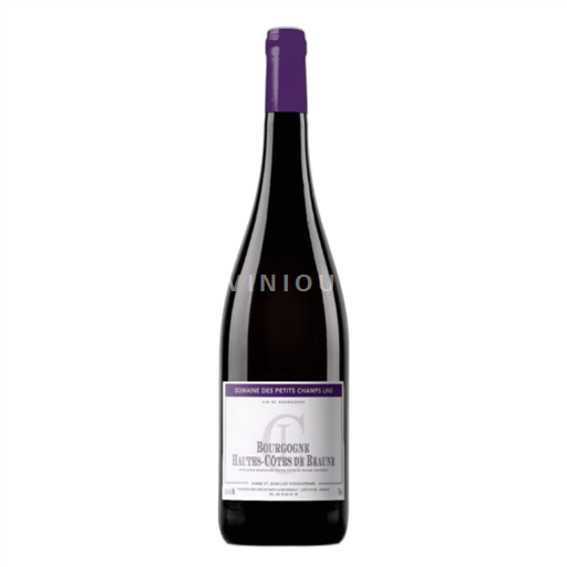 Bourgogne Hautes Côtes de Beaune Domaine Des Petits Champs Lins 2021