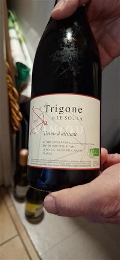 Languedoc a Roussillon Katalánská pobreží Le Soula Trigone Neročník
