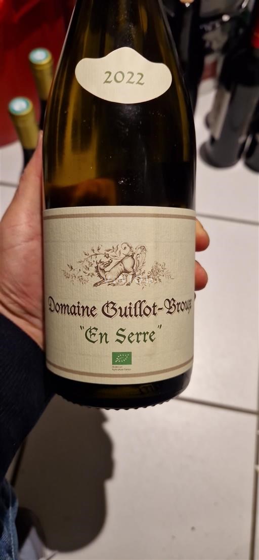 Burgundi Mâcon ja Mâcon-kylät Domaine Guillot-Broux En Serre 2022