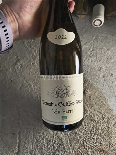 Burgund Mâcon und Mâcon-Dörfer Domaine Guillot-Broux En Serre 2022