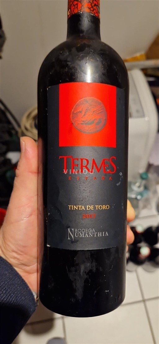Castilien og León Toro Bodega Numanthia Termes 2017
