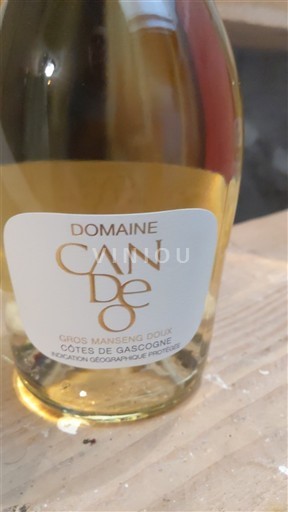 South West Côtes de Gascogne Domaine Can De Oc Non-Vintage