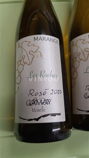 Lorena Mosela Marange Les Roches 2023