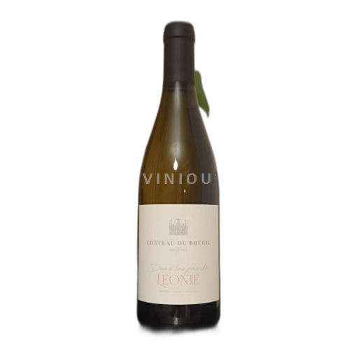 Valle del Loira Anjou Château Breuil 2023