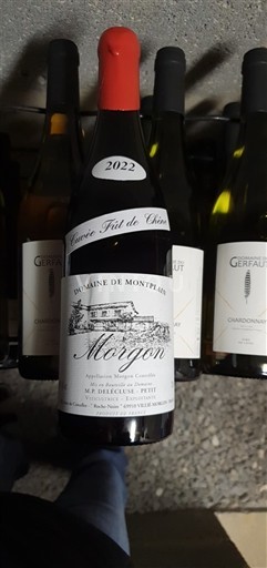 Beaujolais Morgon Domaine Mont-Plain Fût de Chêne 2022