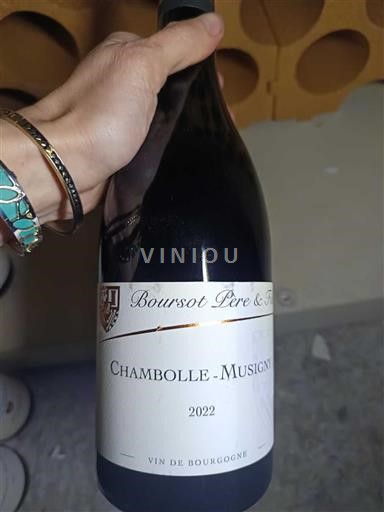 Вина Rouge sec Boursot Père & Fils 2022 Francuska Burgundija Chambolle-Musigny AOC