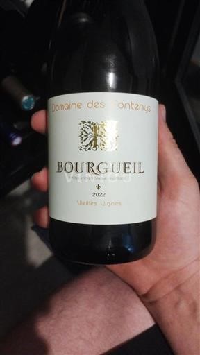 Vale do Loire Bourgueil Domaine Des Fontenys Vieilles Vignes 2022