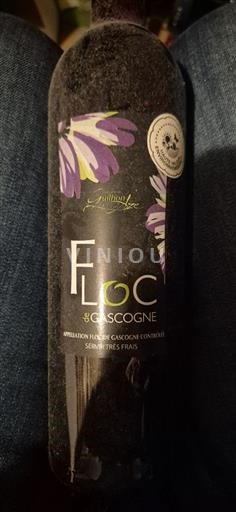 Zuidwest-Frankrijk Floc de Gascogne Domaine Laguilhon Niet-geïntegreerd