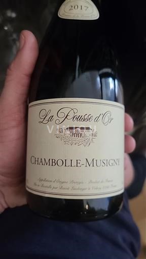 Bourgogne Chambolle-Musigny La Pousse Or 2017