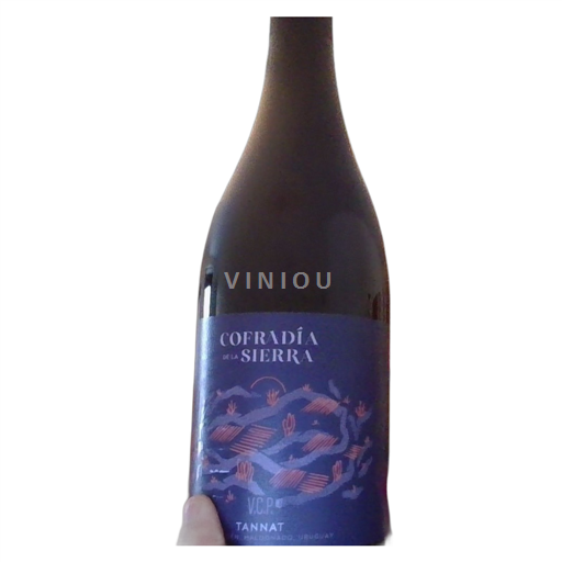 Maldonado Cofradadia De La Sierra Tannat 2023