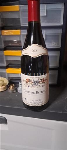 Beaujolais Côte-de-brouilly Benoît Lafont 2021