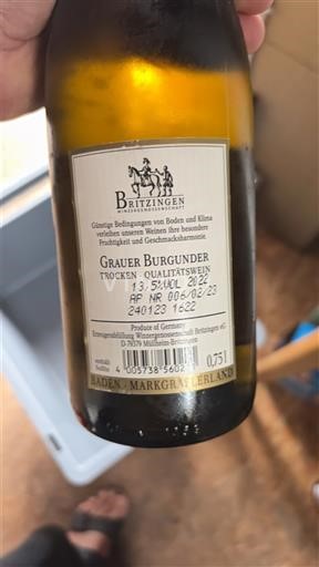 Baden Britzingen 2022