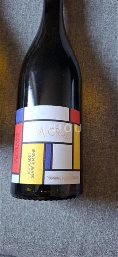 Loire-dalen Muscadet-Sèvre-et-Maine Domaine Luneau-Papin Terra Cruz 2022