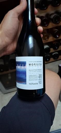 Beaujolais Morgon Domaine Louis-Claude DESVIGNES Aux Pierres Javernières 2022