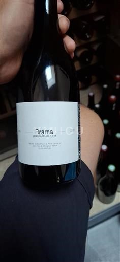 Corsica Not Specified Clos Venturi Brama 2021