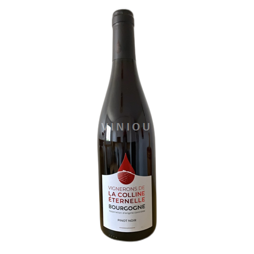 Borgogna Vignerons de la Colline Eternelle Pinot Noir 2023